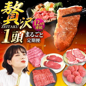 yӂ邳Ɣ[Łzyq꒼zy12ցzꋍ ґ 1܂邲ƒ S[hR[XyZgqzA4 A5 Y    Ⓚ z Hה јa BBQ ꌧ 