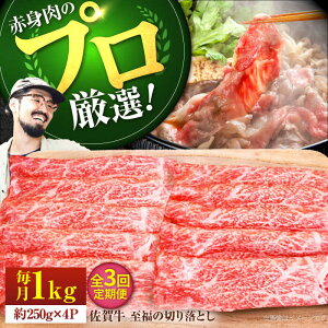 yӂ邳Ɣ[Łzyq꒼zy3ցzꋍ ̐؂藎Ƃ 1000gi250g×4pbNjyZgqzA4 A5 ꋍ јa    ؗ 1kg lC  Ⓚ ꌧ 