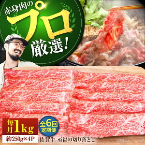 yӂ邳Ɣ[Łzyq꒼zy6ցzꋍ ̐؂藎Ƃ 1000gi250g×4pbNjyZgqzA4 A5 јa   ؗ Y a Y XCX Ă 
