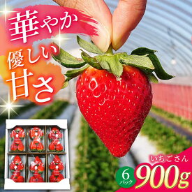 【ふるさと納税】【先行予約 2027年1月～発送】 白石町産 いちごさん （150g×6パック）【佐賀県農業協同組合】イチゴ 苺 大容量 果物 フルーツ 佐賀県 白石町 白石 [IAK016]