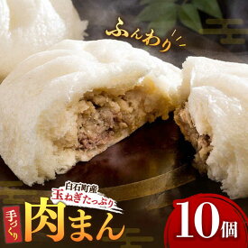 【ふるさと納税】【おやつに大人気！】白石産 玉ねぎ たっぷり 手づくり 肉まん 詰め合わせ 10個入り【五反田茶屋】 惣菜 冷凍 国産 [IAM001]