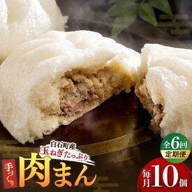 【ふるさと納税】 【6回定期便】 【おやつに大人気！】 白石産 玉ねぎ たっぷり 手づくり 肉まん 詰め合わせ【五反田茶屋】 惣菜 冷凍 国産 [IAM005]
