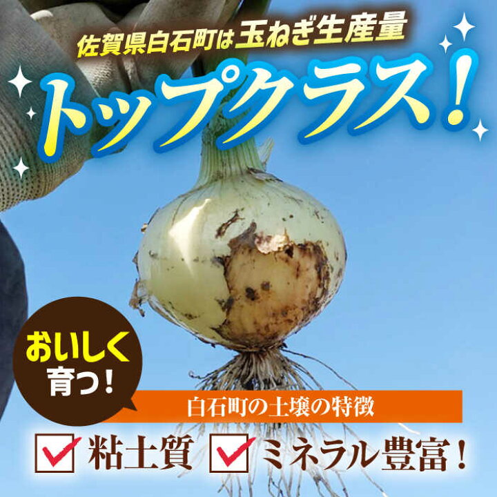 楽天市場】【ふるさと納税】【先行予約】【農家直送！】玉葱農家の  