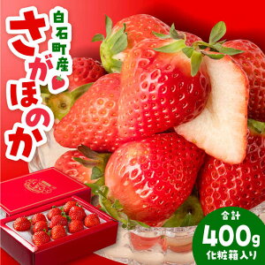 yӂ邳Ɣ[Łzys\zy_ƒziϔjΎYuق̂v400gyݐ_zC`S ԃC`S  ʕ t[c ꌧ Β [IAP003]