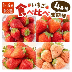 【ふるさと納税】【先行予約】【4回定期便】いちご 4品種 食べ比べ 白いちご など 希少品種 も！【岸川農園】いちご いちご定期便 さがほのか よつぼし いちごさん 淡雪 イチゴ 赤イチゴ 苺 果物 フルーツ アフターフォロー 食べ比べ 希少 佐賀県 白石町 [IAP011]