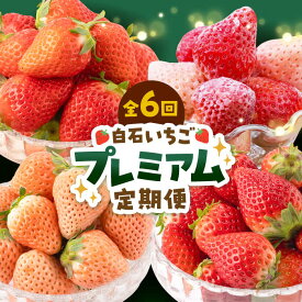 【ふるさと納税】【先行予約】【6回定期便】プレミアム いちご 食べ比べ 定期便【岸川農園】農家直送 希少 苺 いちご イチゴ 白イチゴ 果物 フルーツ 淡雪 いちごさん さがほのか 冷凍いちご 佐賀県 白石町 [IAP023]