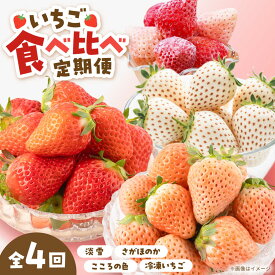 【ふるさと納税】【R8年1月以降発送】【4回定期便】岸川農園の自慢の赤白いちご（淡雪・さがほのか・こころの色・冷凍いちご） 【岸川農園】[IAP046]