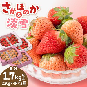 yӂ邳Ɣ[ŁzyR8N1ȍ~zgZbgiWEق̂ j v1.7kgȏie220g×4pbNj yݐ_z[IAP049]