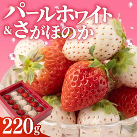 【ふるさと納税】【先行予約 2027年1月〜発送】【農家直送】 いちご食べ比べ『さがほのか』と『パールホワイト』220g 化粧箱入り【ハヤシダファーム】 イチゴ 白イチゴ 苺 果物 フルーツ 佐賀県 白石町 白石 [IAQ004]