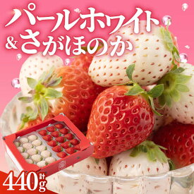 【ふるさと納税】【先行予約 2027年1月〜発送】【農家直送】 いちご食べ比べ『さがほのか』と『パールホワイト』220g×2パック（各220g）【ハヤシダファーム】 イチゴ 白イチゴ 苺 果物 フルーツ 佐賀県 白石町 白石 [IAQ005]