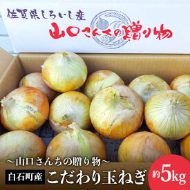 【ふるさと納税】【先行予約】農家直送！こだわり 玉ねぎ 約5kg〜山口さんちの贈り物〜【y'scompany】 たまねぎ タマネギ 玉葱 野菜[IAS011]