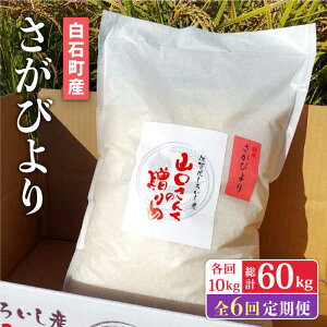 yӂ邳Ɣ[Łzyߘa7N11ȍ~zyS6ցz ʍ͔| тiāj10kg×6iv60kgjyy'scompanyz  V uh _ƒ ʍ͔| ʍ͔| A] A 