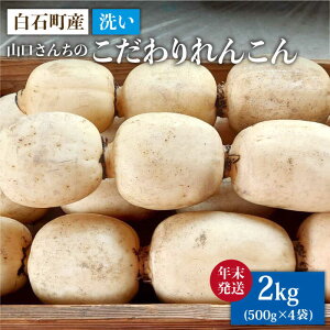 yӂ邳Ɣ[Łz yNz y_ƒIz  񂱂 2kgi500g×4܁j`R񂿂̑蕨`yy'scompanyz @ R   ꌧ Β [IAS019]