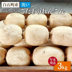 yӂ邳Ɣ[Łz yNz y_ƒIz  񂱂 3kg`R񂿂̑蕨`yy'scompanyz @ R   ꌧ Β [IAS020]