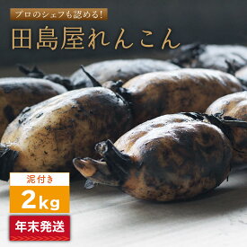 【ふるさと納税】【先行予約 2026年末発送/年内発送】れんこん（泥付き） 2kg【田島屋れんこん】 蓮根 レンコン 根菜 野菜 白石町産 年内発送 年内配送 お正月用 佐賀県 白石町 白石 [IAV004]