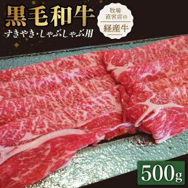 【ふるさと納税】【霜降り控えめ！】牧場直営店の黒毛和牛 スライス 500g （ロース）すきやき・しゃぶしゃぶ用【川崎畜産】和牛 国産牛 黒毛和牛 牛肉 肉 お肉 すき焼き すき焼 すきしゃぶ 切落し スライス 佐賀県 白石町 白石 [IAX028]