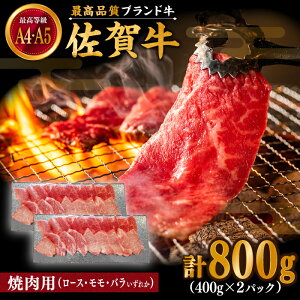 yӂ邳Ɣ[Łzꋍ ēp 800g (400g×2pbN) I [XEEo炢ꂩy{Yza A4 A5  Hה BBQ o[xL[   Ă Ⓚ ꌧ Β
