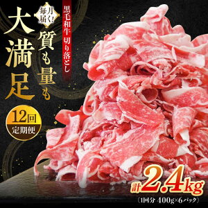 yӂ邳Ɣ[ŁzyS12ցzq꒼cX̍јa ؂藎Ƃ qIׂeʁIr800g(2P)E1.2kg(3P)E2.4kg(6P)y{YzXCX Y a  lC LO  Ă 