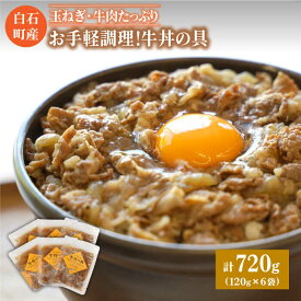 【ふるさと納税】【身体にやさしい！】お手軽調理！牛丼の具（120g×6袋入り）【べんがら】牛肉 丼 惣菜 レトルト おかず 時短 簡単調理 [IAZ005]