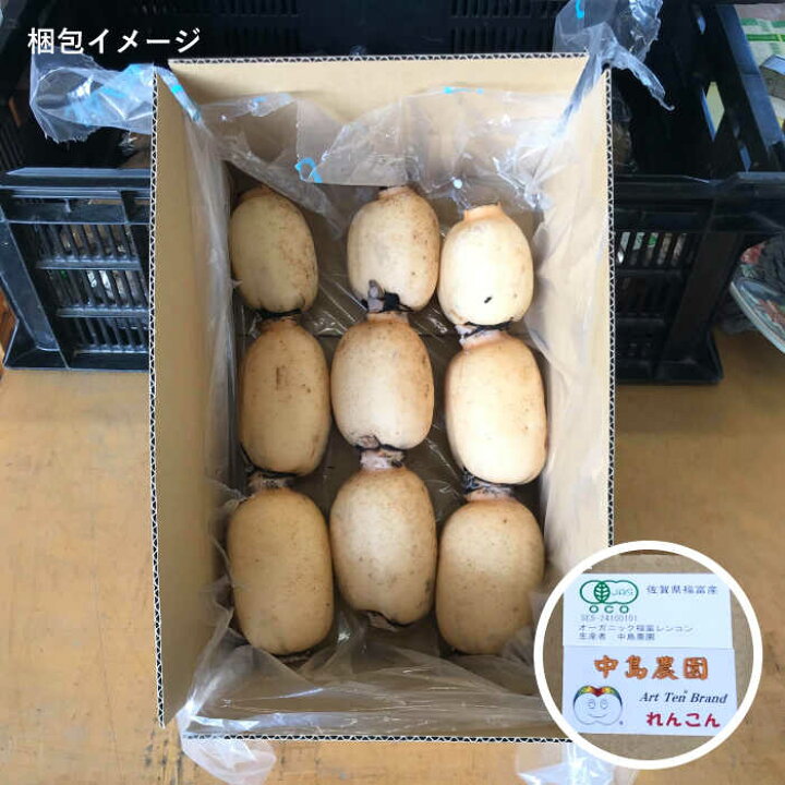 楽天市場】【ふるさと納税】【節切り】希少な オーガニック 福富 