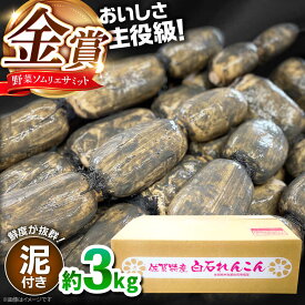 【ふるさと納税】【先行予約 2026年10月〜発送】【金賞受賞】松尾青果のこだわり白石れんこん 約3kg【松尾青果】 れんこん レンコン 泥付きれんこん 白石れんこん 泥付き 金賞 金賞受賞 野菜ソムリエサミット 佐賀県 白石町 白石 [IBD014]