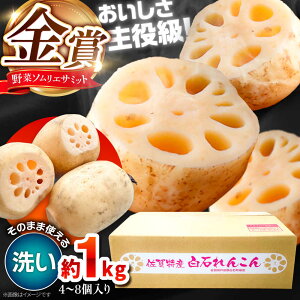 yӂ邳Ɣ[Łzy܎܁z􂢂񂱂@v1kgi4-8j yʁz[IBD020]