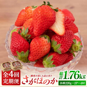 yӂ邳Ɣ[Łzys\zy4ցzق̂ 220g×2pbN×4 y]_z[IBH017]