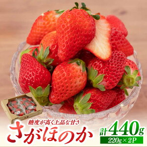 yӂ邳Ɣ[Łzys\zق̂ 220g×2pbN y]_z[IBH018]