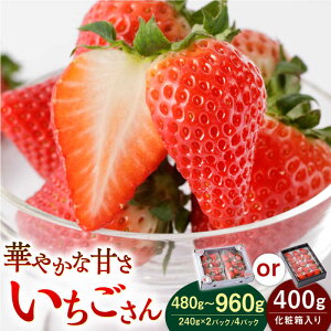 ys\zyӂ邳Ɣ[Łz qIׂeʁr 2pbN or 4pbNor ϔyStrawberryFarm-Kz C`S  Ԃ t[c ʕ ꌧ Β [IBJ001]
