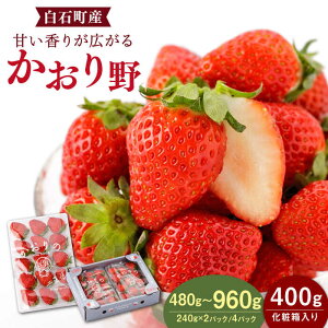 ys\zyӂ邳Ɣ[Łz y_ƒz  2pbN or 4pbN or ϔyStrawberryFarm-Kz Ԃ C`S  ʕ t[c ꌧ Β [IBJ003]