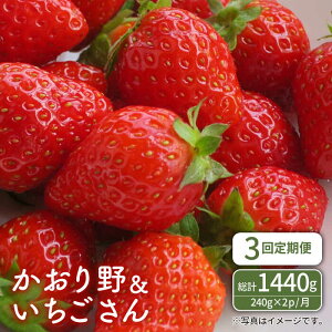 yӂ邳Ɣ[Łz yR8N1ȍ~z yS3ցz ԂHהׁI쁕 ցyStrawberryFarm-Kz C`S  Ԃ t[c ʕ ꌧ Β [IBJ007]