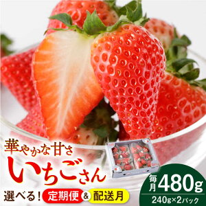 yӂ邳Ɣ[Łzys\zyzE񐔂Iׂցz  240g×2pbNyStrawberryFarm-KzC`S  Ԃ t[c ʕ ꌧ Β [IBJ008]