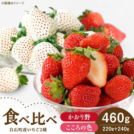 【ふるさと納税】【R8年1月以降発送】こころの色×かおり野 紅白いちごセット 計460g （こころの色220g、かおり野240g）【StrawberryFarm-K】 紅白いちご 希少 いちご 果物 フルーツ かおり野 セット [IBJ024]