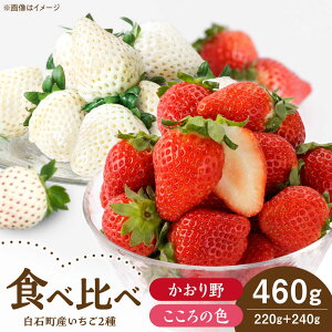 yӂ邳Ɣ[ŁzyR8N1ȍ~z̐F× gZbg v460g i̐F220gA240gjyStrawberryFarm-Kz g   ʕ t[c  Zbg