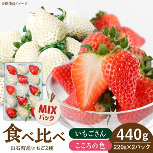 yӂ邳Ɣ[ŁzyR8N1ȍ~z̐F×~bNX gZbg v440gi220g×2pbNj yStrawberryfarm-Kz g   ʕ t[c  Zbg [IB