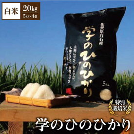 【ふるさと納税】【令和5年産】学の ひのひかり 20kg（白米）【白浜農産】米 お米 農家直送 直送 特別栽培 特別栽培米 減農薬 減化学肥料 高品質 [IBL006]