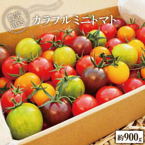 ミニトマト 箱 食品の人気商品 通販 価格比較 価格 Com