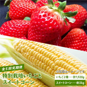 yӂ邳Ɣ[Łzys\zyS5ցzʍ͔|ƃXC[gR[̒ցy_z ق̂  Ԃ C`S  Ƃ낱  t[c ʕ Hה