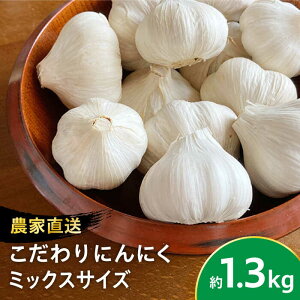 yӂ邳Ɣ[Łzy_ƒIz ɂɂ 召TCY낢 1.3kg ym_zjjN K[bN   ꌧ Β [IBQ001]
