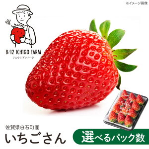 yӂ邳Ɣ[ŁzyR8N2ȍ~z 240g×2pbN y8/12ICHIGOFARMz[IBR002]