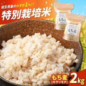 yӂ邳Ɣ[Łz iL`j2kg yLВ菼t@[z   ނ L`  ͂ ӂ邳Ɣ[ ꌧ Β  5kg [IBV007]