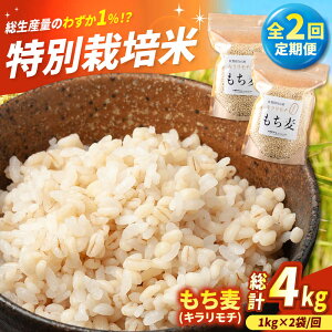 yӂ邳Ɣ[ŁzyS2ցz iL`jv4kgi2kg×2j yLВ菼t@[z   ނ L`  ͂  5kg ӂ邳Ɣ[ ꌧ Β  [IB