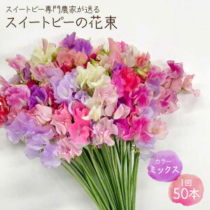 スイートピー 花束の人気商品 通販 価格比較 価格 Com