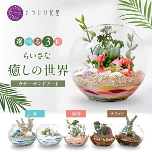 �y�ӂ邳�Ɣ[�Łz�J���[�T���h�f�U�C��(�����Ȗ����̐��E)�y�Ƃ������ԉ��z[IDB003]