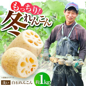 yӂ邳Ɣ[Łz yߘa7N11ȍ~zyy납ƂƂ񂱂zΒY 􂢂񂱂1kgy쒆_z_ƒ R @    ꌧ Β[IDC004]
