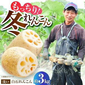 yӂ邳Ɣ[Łz yߘa7N11ȍ~zyy납ƂƂ񂱂zΒY 􂢂񂱂3kgy쒆_z_ƒ R @    ꌧ Β[IDC006]