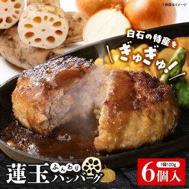 【ふるさと納税】究極の白石薫る蓮玉ハンバーグ 120g×6個【食彩〜煌〜】 佐賀県 白石 [IDH001]