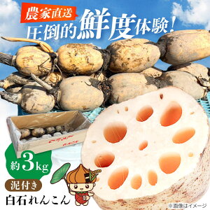 yӂ邳Ɣ[ŁzDt񂱂3kg@y_z[IDK002]