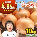 【先行予約】白石産たまねぎ 約10kg 野菜 タマネギ 玉葱 玉ねぎ [IZZ001]