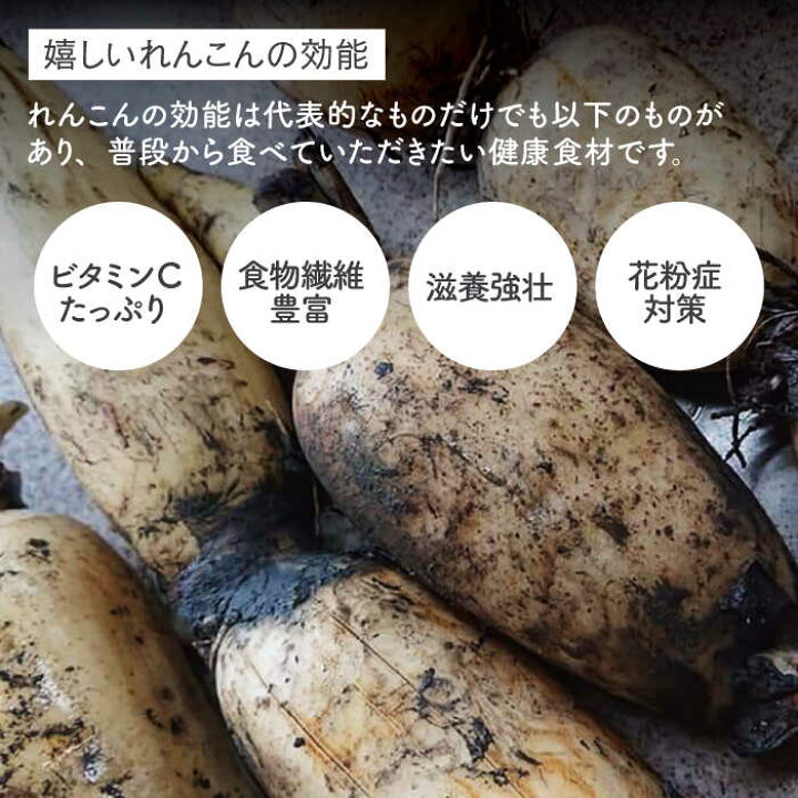 楽天市場 ふるさと納税 レンコンの名産地 白石町産 泥付きれんこん 3kg レンコン 蓮根 佐賀県産 野菜 根菜 高品質 Izz011 佐賀県白石町